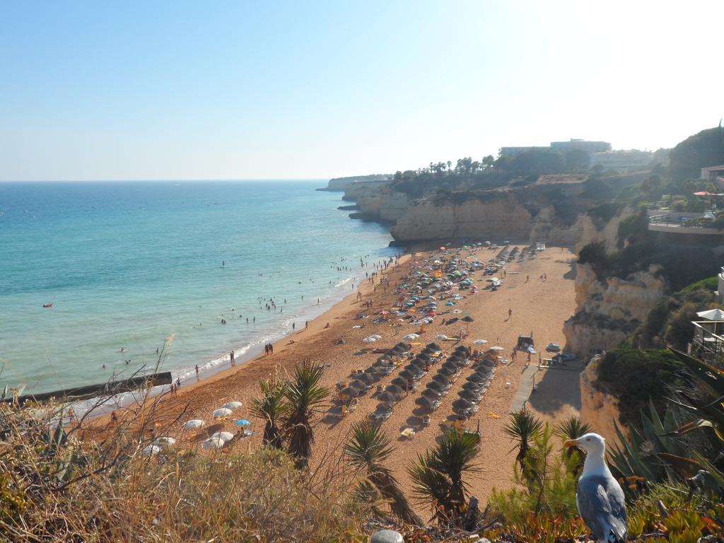Apartamento Varandas Do Sol Nascente ปอร์เชส ภายนอก รูปภาพ